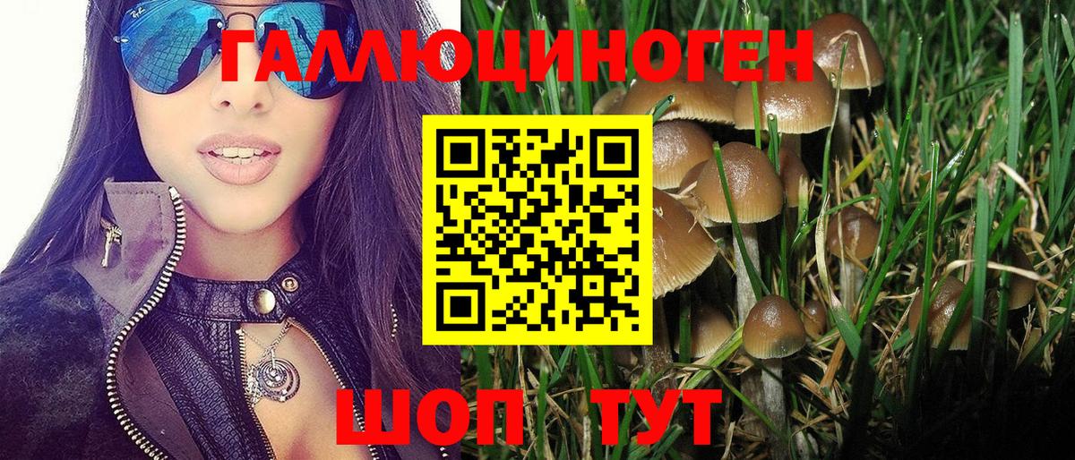 Галлюциногенные грибы мухоморы  Вход с VPN  Псилоцибиновые грибы Psilocybe  Кулебаки 